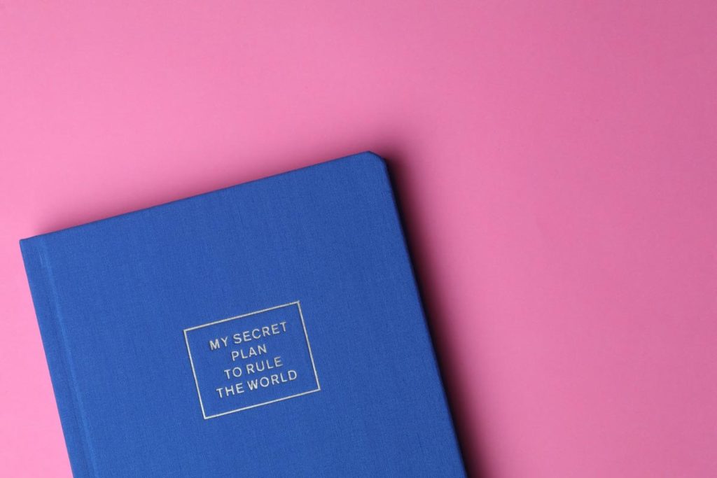 A planner called My Secret Plan to Rule the World on a pink desk